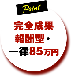 完全成果報酬型・一律85万円